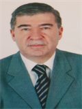 Prof. Dr. MEHMET ÖZEREN