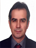 Prof. Dr. SERKAN YAZGAN