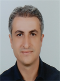 Prof. Dr. İBRAHİM HALİL BOZKURT