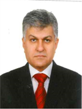 Prof. Dr. HASAN AĞIN
